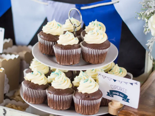 Donec in maximus augue