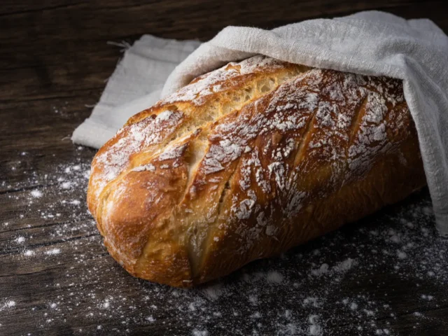 Nulla rhoncus efficitur augue